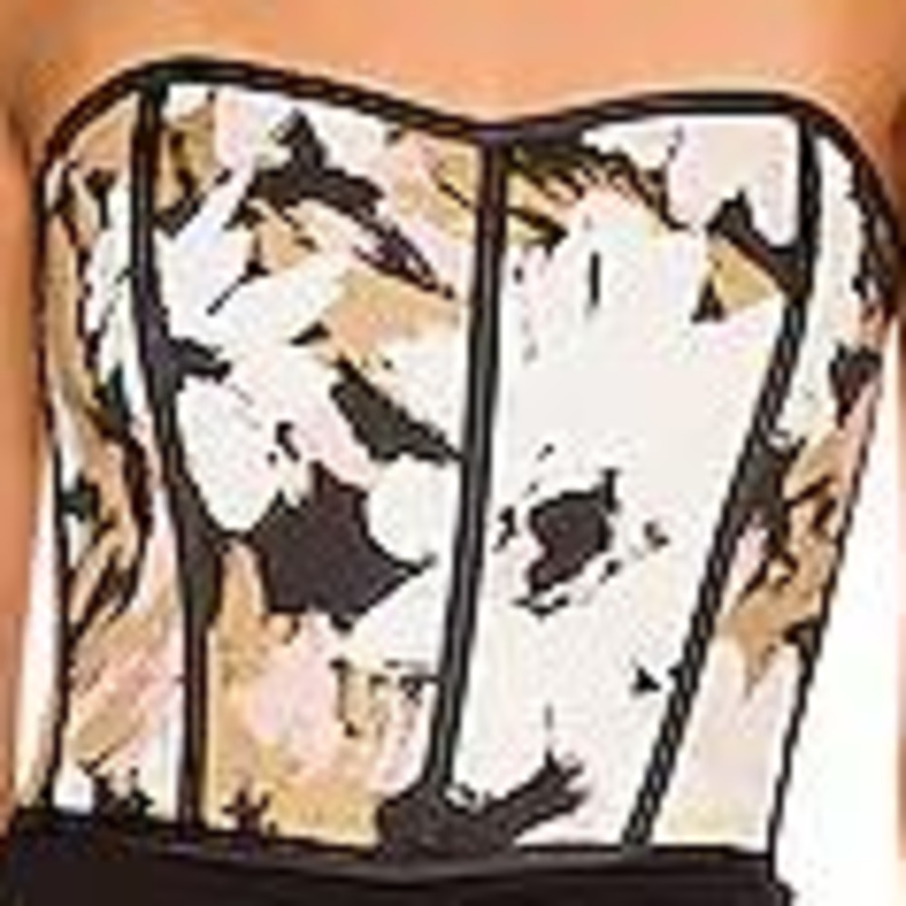 Hansen + Gretel Cleo Corset in Painted Floral